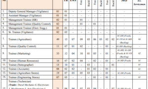 NSCL Recruitment 2024