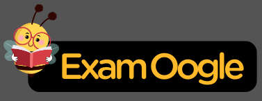 Exam Oogle Logo